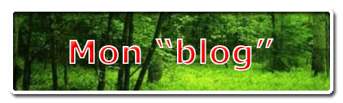 Mon blog
